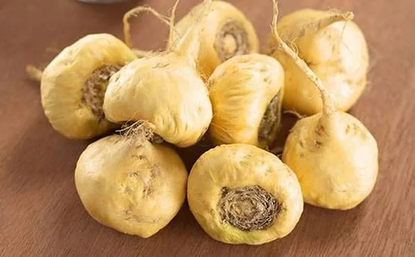 Maca Peruana: Benefícios, para que serve e como tomar 4 maca peruana como tomar