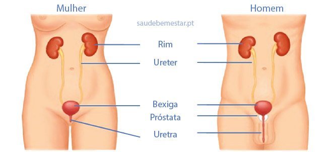 infecção urinária homem e mulher