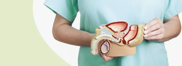 Prostatite: Causas, Sintomas e como tratar 6 consulta medica