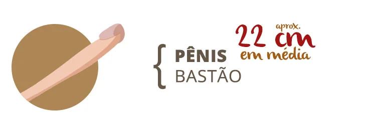 Tipos de Pênis: Formatos, Tamanhos, Grossuras e Etnias 3 penis bastão