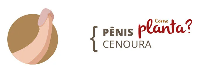 Tipos de Pênis: Formatos, Tamanhos, Grossuras e Etnias 6 penis cenoura