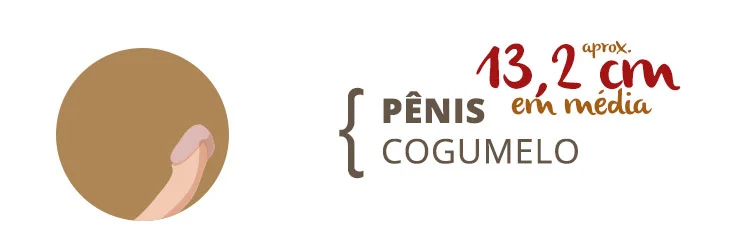 Tipos de Pênis: Formatos, Tamanhos, Grossuras e Etnias 7 penis cogumelo