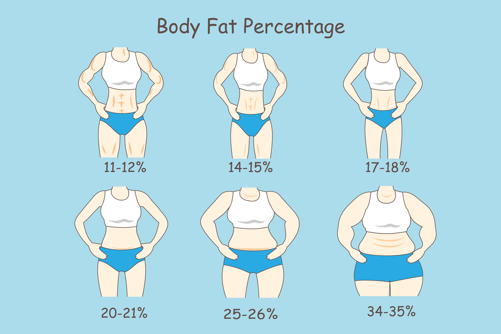 Percentual de gordura corporal: como calcular diminuir 3 Percentual de gordura corporal